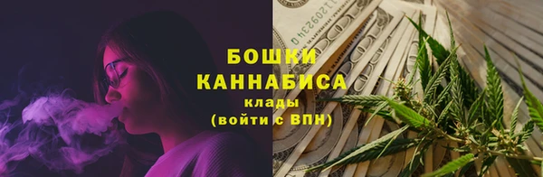 прущие грибы Надым