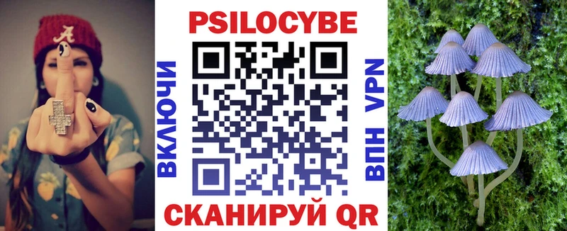 Галлюциногенные грибы прущие грибы  Берёзовка 