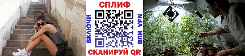Марихуана THC 21%  Берёзовка 